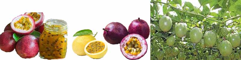 Passion Fruit, Local Malaysian Fruits